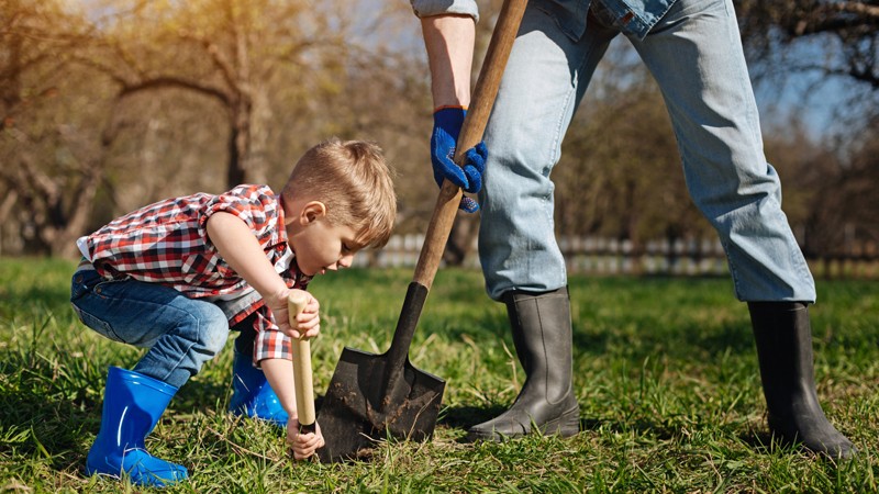 Look up, down all around to stay safe during springtime yard adventures