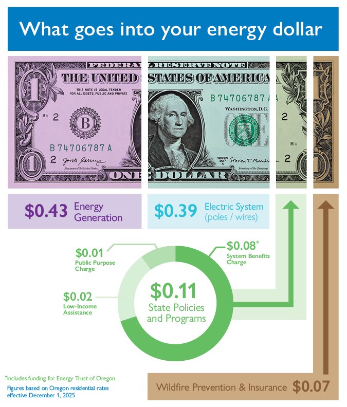 What goes into your energy dollar: $0.43 Energy generation; $0.39 Electric system; $0.11 State policies & programs; $0.07 Wildfire prevention & insurance
