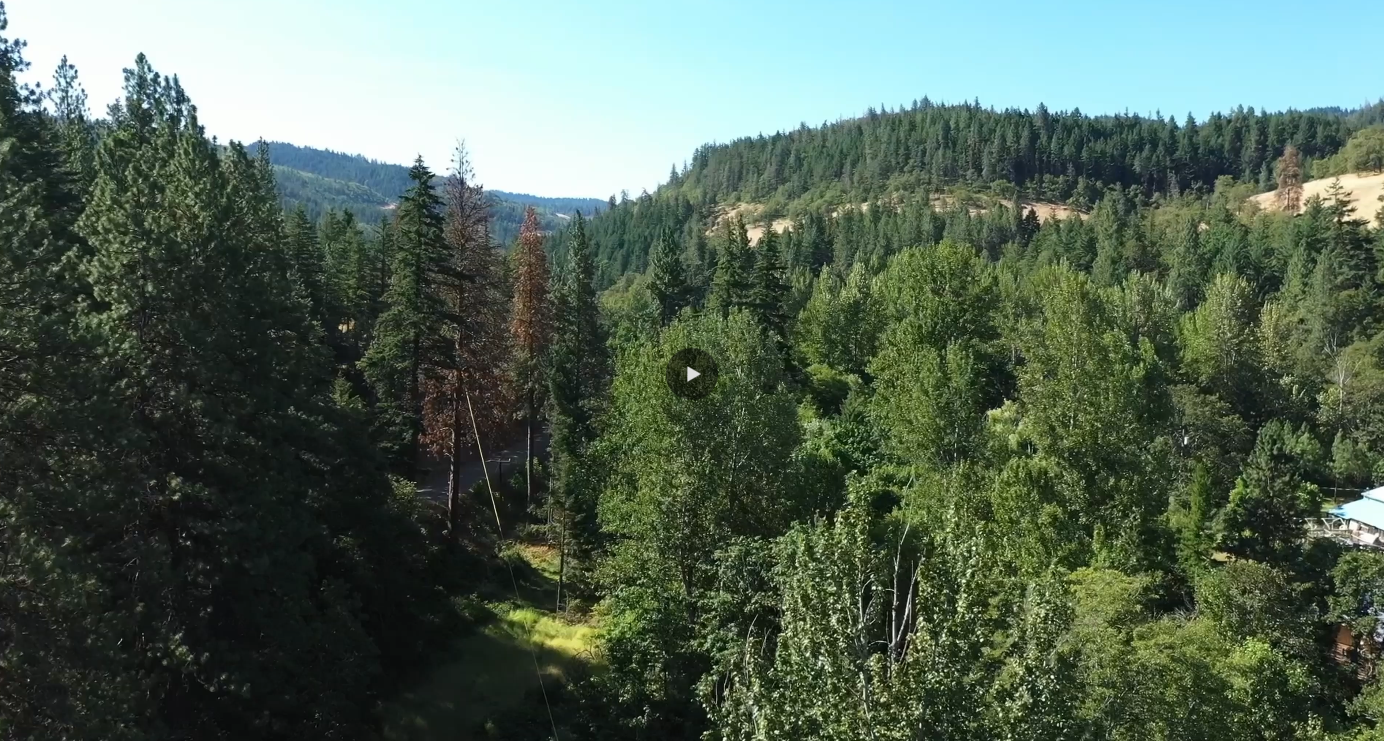 Video (B-roll)