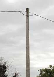 Pole without transformer